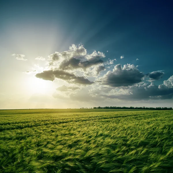 Pôr-do-sol dramático sobre campo verde — Fotografia de Stock