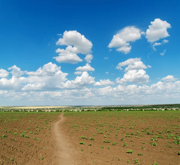 Champ de printemps et ciel nuageux dessus — Photo