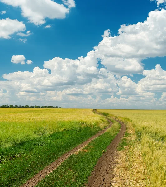 Smutsiga vägen till horisonten under molnig himmel — Stockfoto