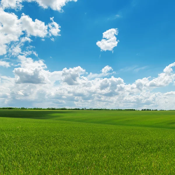 Molnigt himmel och grönt fält — Stockfoto