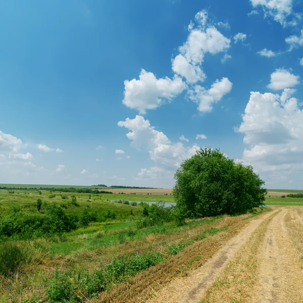 Camino sucio en paisaje verde y cielo azul nublado — Foto de Stock