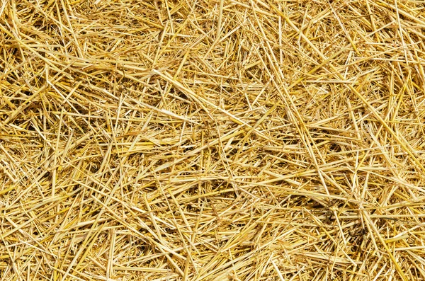 Straw as background — Stock Photo, Image