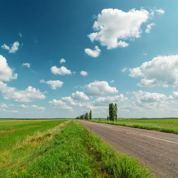 Asfaltweg en bewolkte hemel — Stockfoto