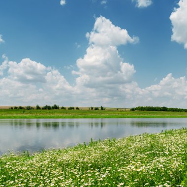 Mavi Gökyüzü bulutlu Nehri ve chamomiles ile çayır üzerinde