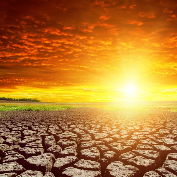 Tierra agrietada y puesta de sol rojo — Foto de Stock