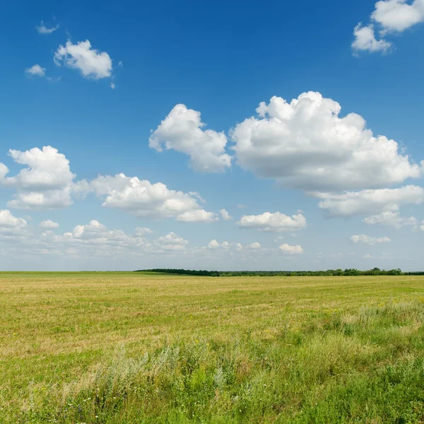 Céu azul nublado e grama verde — Fotografia de Stock