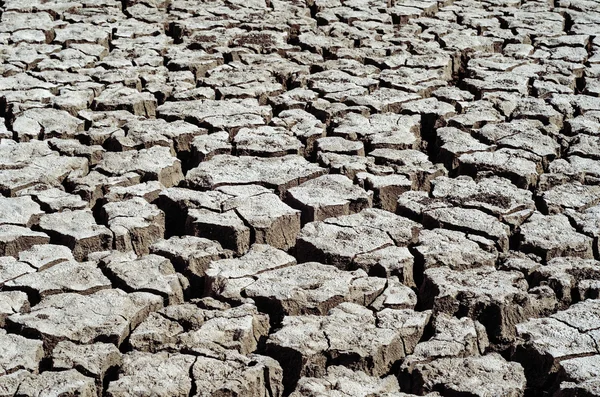 良いテクスチャとしてひび割れた大地 — ストック写真