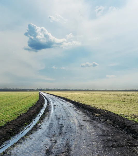 Wet country road under cloudy sky — Stock Photo, Image