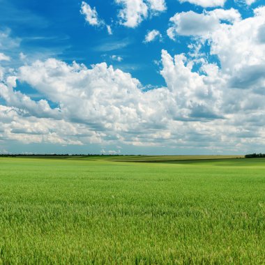 Yeşil tarım alanı ve ele bulutlar