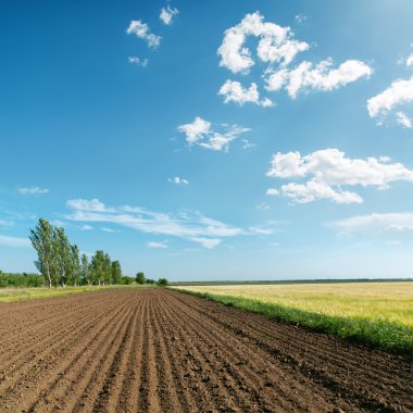 ışık bulutlar altında sürülmüş alanı ile peyzaj