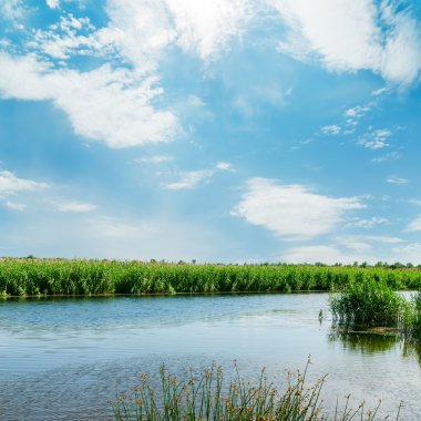 bulutlu gökyüzü altında Nehri