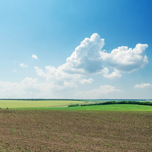 Geploegd veld in het voorjaar onder bewolkte hemel — Stockfoto