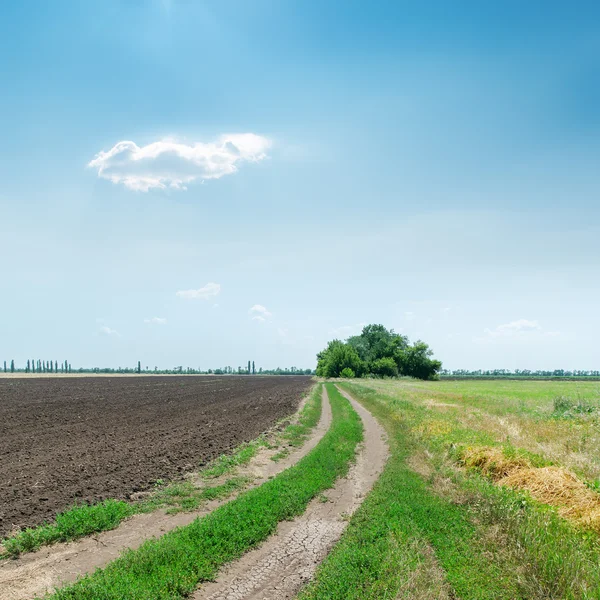 Dirty road to horizon in agriculture fields under blue sky — Stock Photo, Image