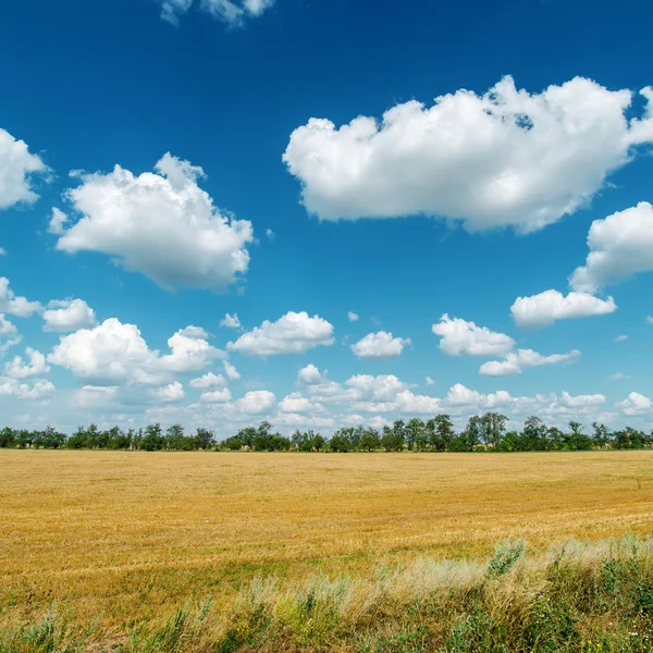 Landsbygdens landskap under molnig himmel — Stockfoto