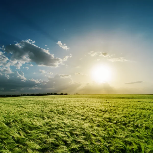 Coucher de soleil nuageux sur champ vert — Photo