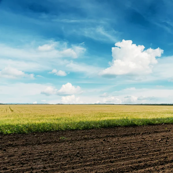 Campos agrícolas e céu azul profundo — Fotografia de Stock