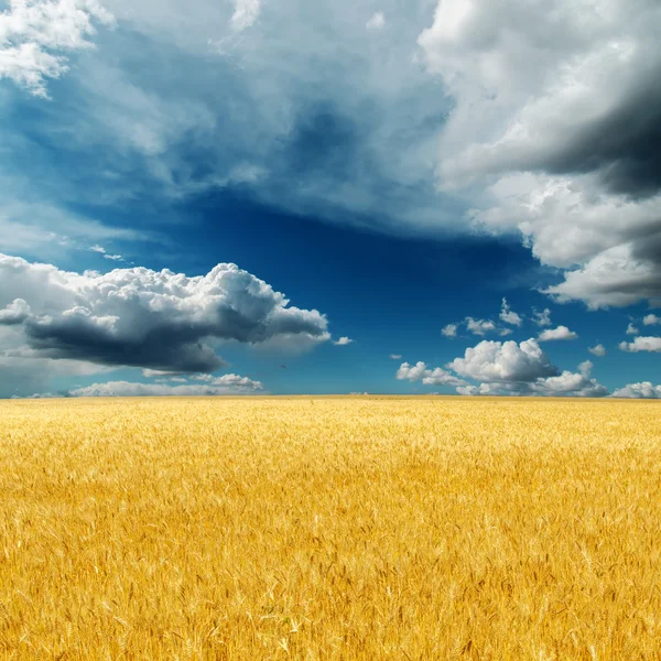 Dramatischer Himmel über Körper mit golden harvest — Stockfoto