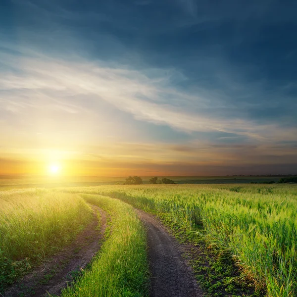 Sunset over dirty road in green fields — Stock Photo, Image