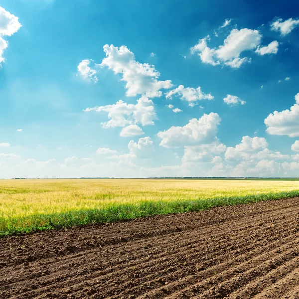 Champs agricoles sous un ciel nuageux bleu profond — Photo