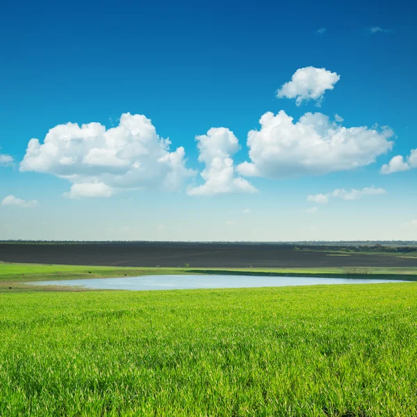 Paesaggio verde con stagno sotto il cielo blu — Foto Stock