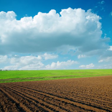 agriculrural alanları ve ele bulutlar