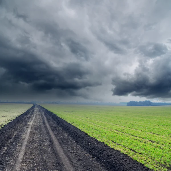 Road in green fields to low rainy clouds — Stock Photo, Image