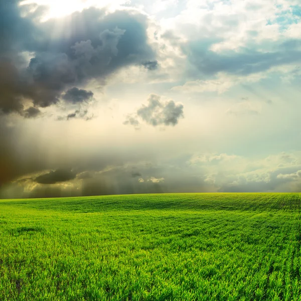 Dramatic sky over green grass field — Stock Photo, Image