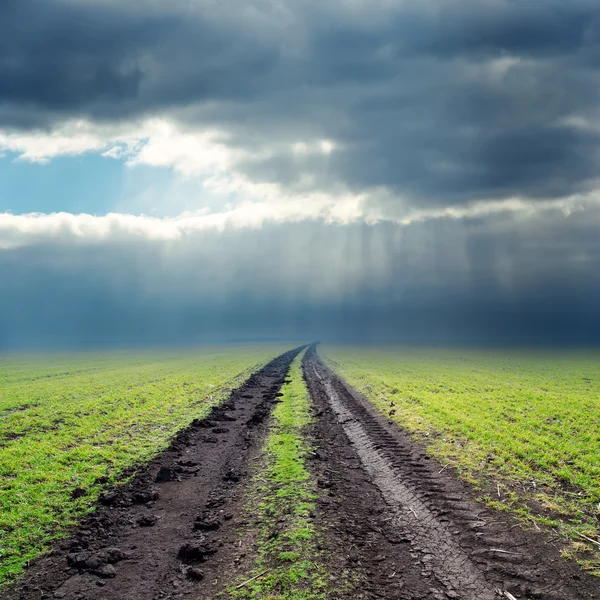 Road in green field to low clouds in horizon — Stock Photo, Image