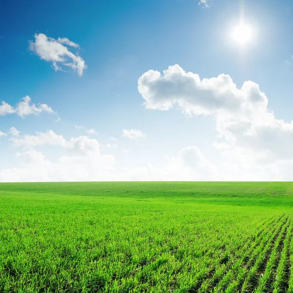 Sonne am blauen Himmel mit Wolken und grünem Feld — Stockfoto