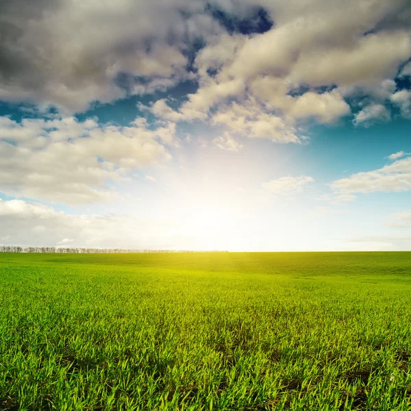 Wolkenschleier Sonnenuntergang und grüne Agricultute Feld — Stockfoto