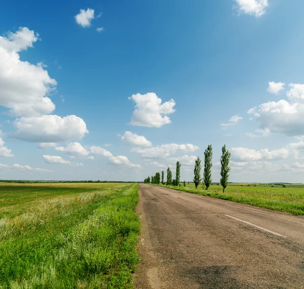 Route asphaltée dans le paysage vert et bleu ciel — Photo
