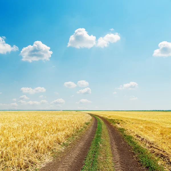 Landelijke weg in veld met gouden oogst en blauwe hemel — Stockfoto