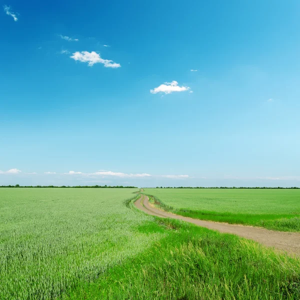 Estrada em campo verde sob céu azul — Fotografia de Stock
