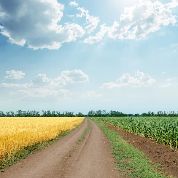 Sunny sky with clouds over road in agriculture fields — Stock Photo, Image