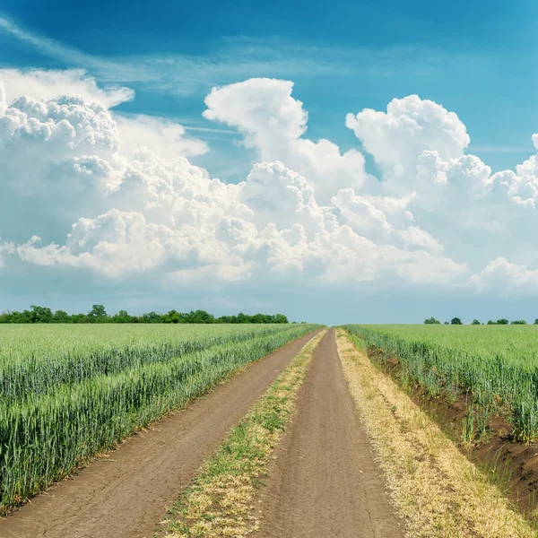 Molnig himmel över vägen i grönt fält — Stockfoto