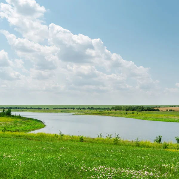 Река с зеленой травой и пасмурный день — стоковое фото