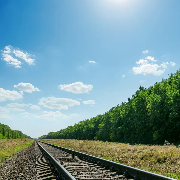 Railroad to horizon in green landscape and blue sky with sun ove — kuvapankkivalokuva