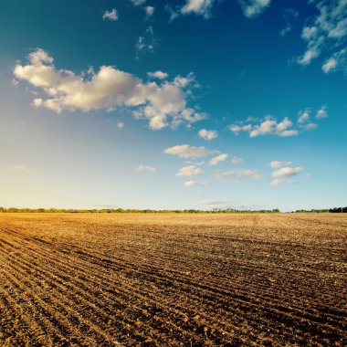 black field after harvesting and blue cloudy sky clipart
