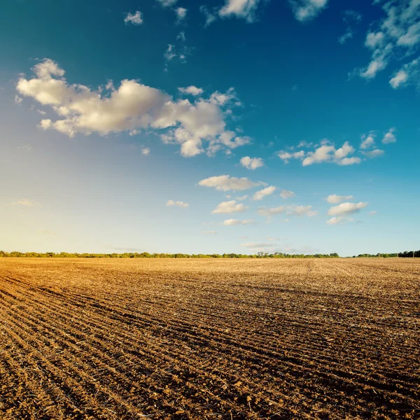 Preto campo após a colheita e azul céu nublado — Fotografia de Stock