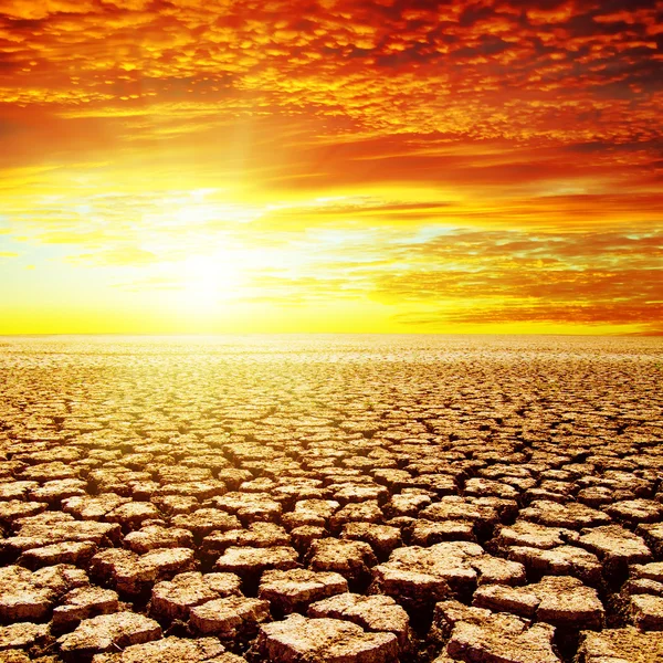 Red sunset over drought earth — Stock Photo, Image