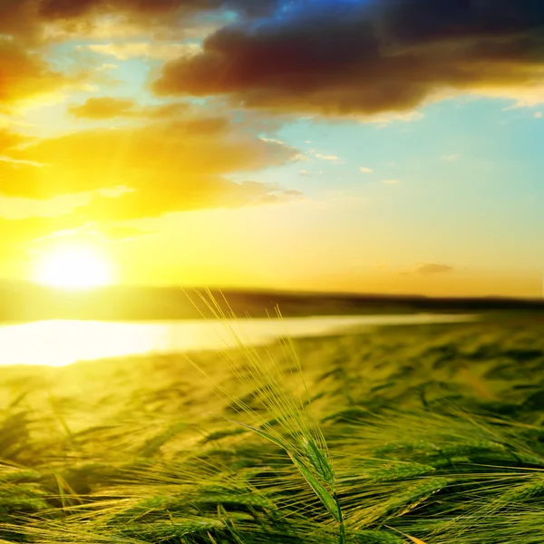 Sunset over green field near water — Fotografia de Stock