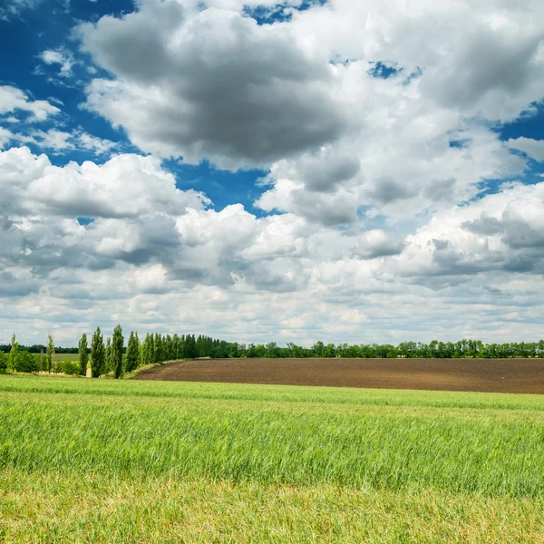 Сільськогосподарські поля та драматичне небо — стокове фото