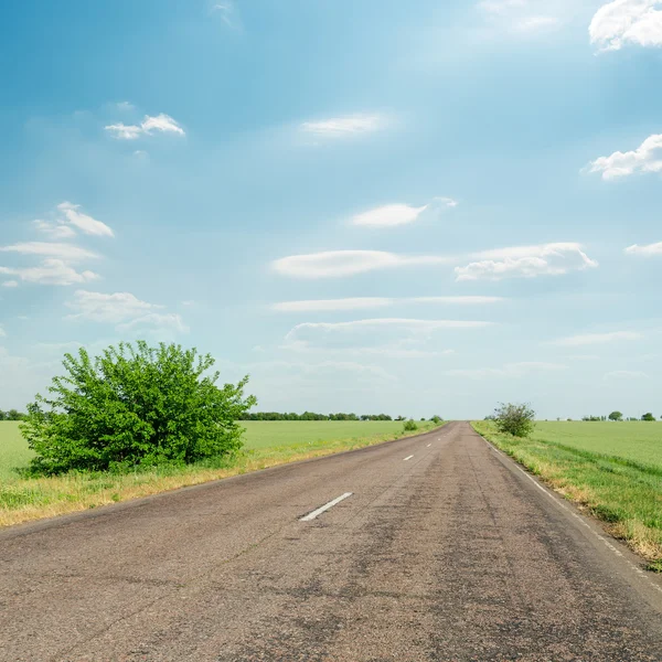 Asphalt road in green fields and blue cloudy sky — Stock Photo, Image