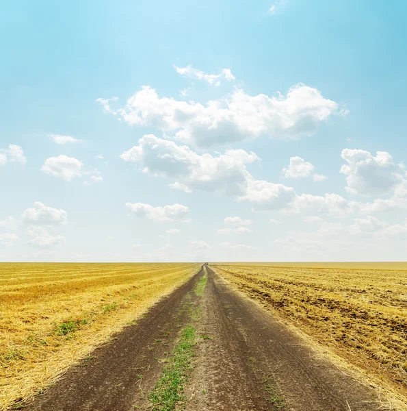 Straße im goldenen Feld und Wolken drüber — Stockfoto