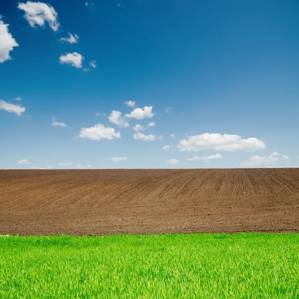 Groen gras en zwarte geploegd velden onder de blauwe hemel — Stockfoto