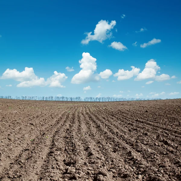 Campo arado preto após a colheita sob o céu azul — Fotografia de Stock