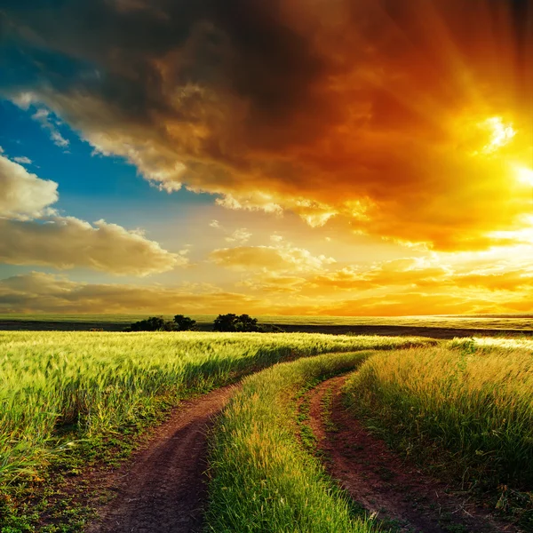 Good sunset over winding road in field — Stock Photo, Image