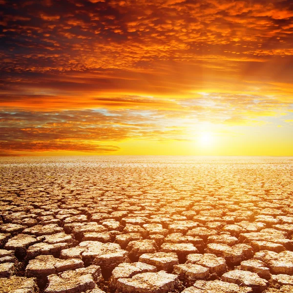 Desierto y puesta de sol rojo — Foto de Stock