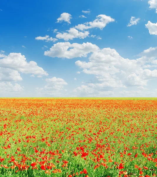Rote Mohnfelder und blauer bewölkter Himmel — Stockfoto