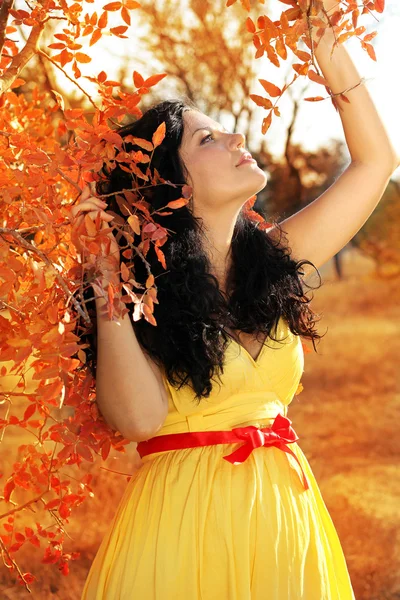 Giovane bella donna incinta con lunghi capelli scuri. autunno — Foto Stock